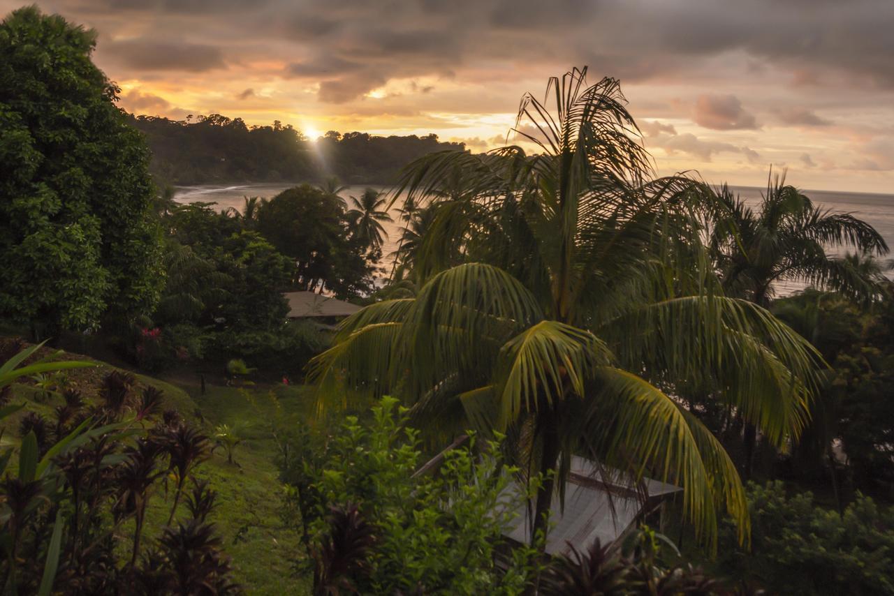 Hotel Rancho Corcovado Drake Bay Zewnętrze zdjęcie